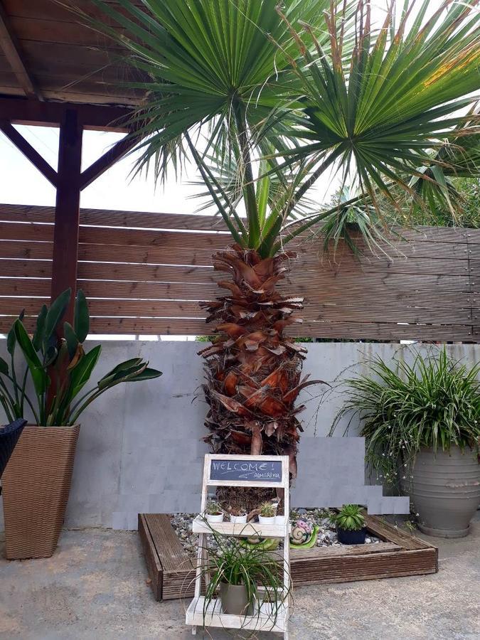 Almirikia Apartments มอร์เตรี ภายนอก รูปภาพ
